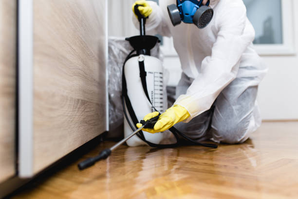 Best Pest Control Near Me in Mcalmont, AR