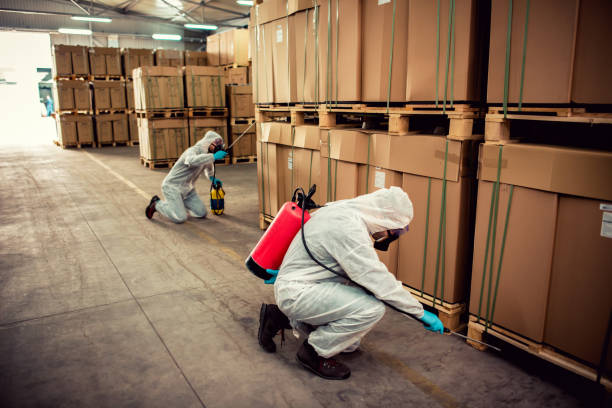 Best Residential Pest Control  in Mcalmont, AR