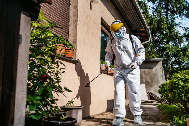 Best Flea Control Services  in Mcalmont, AR