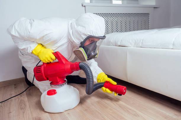 Best Rat Extermination Near Me  in Mcalmont, AR