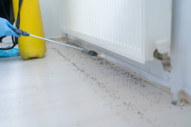 Best Commercial Pest Control Services  in Mcalmont, AR