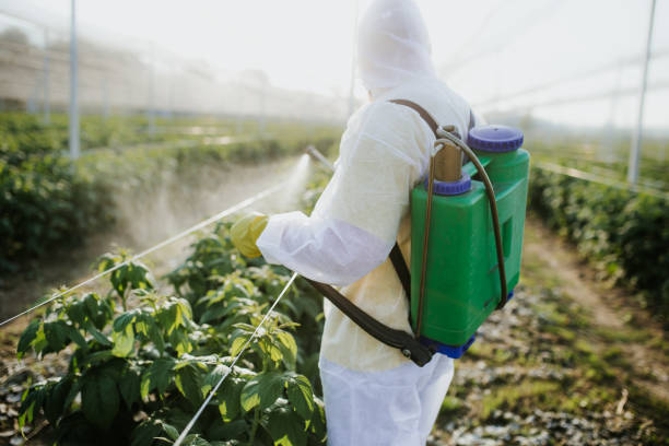Best Local Pest Control Services  in Mcalmont, AR